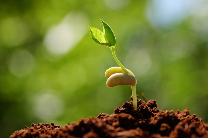 Vermont Web Design - Web Design for Growth Vermont Web Design - Web Design for Growth